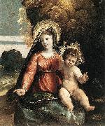 Dosso Dossi Madonna and Child oil painting artist
